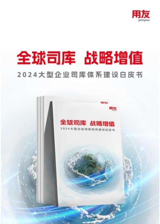 《2024大型企业司库体系建设白皮书》解读