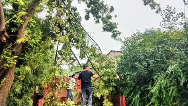 事发远安北门暴风雨将一棵大树粗枝丫吹倒挡在了路中间……