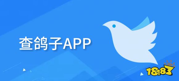 查鸽子软件有哪些？几款查鸽子app推荐