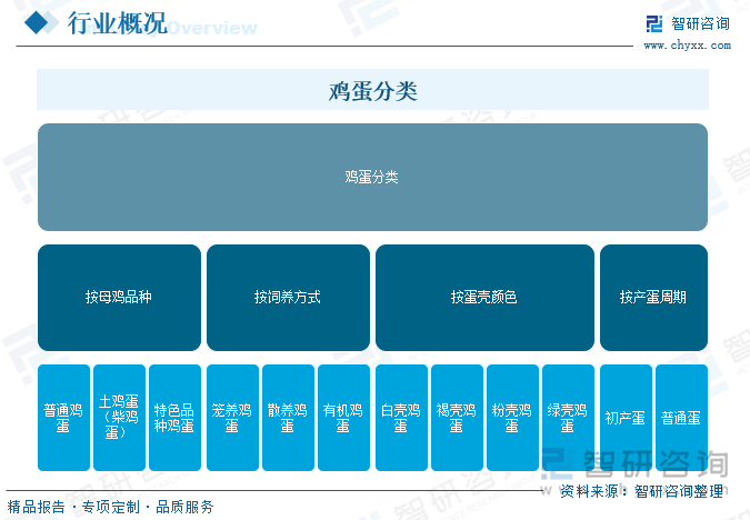 2025年中国鸡蛋行业市场政策、产业链、发展现状、代表性企业分析及发展趋势研判：市场格局高度分散[图]