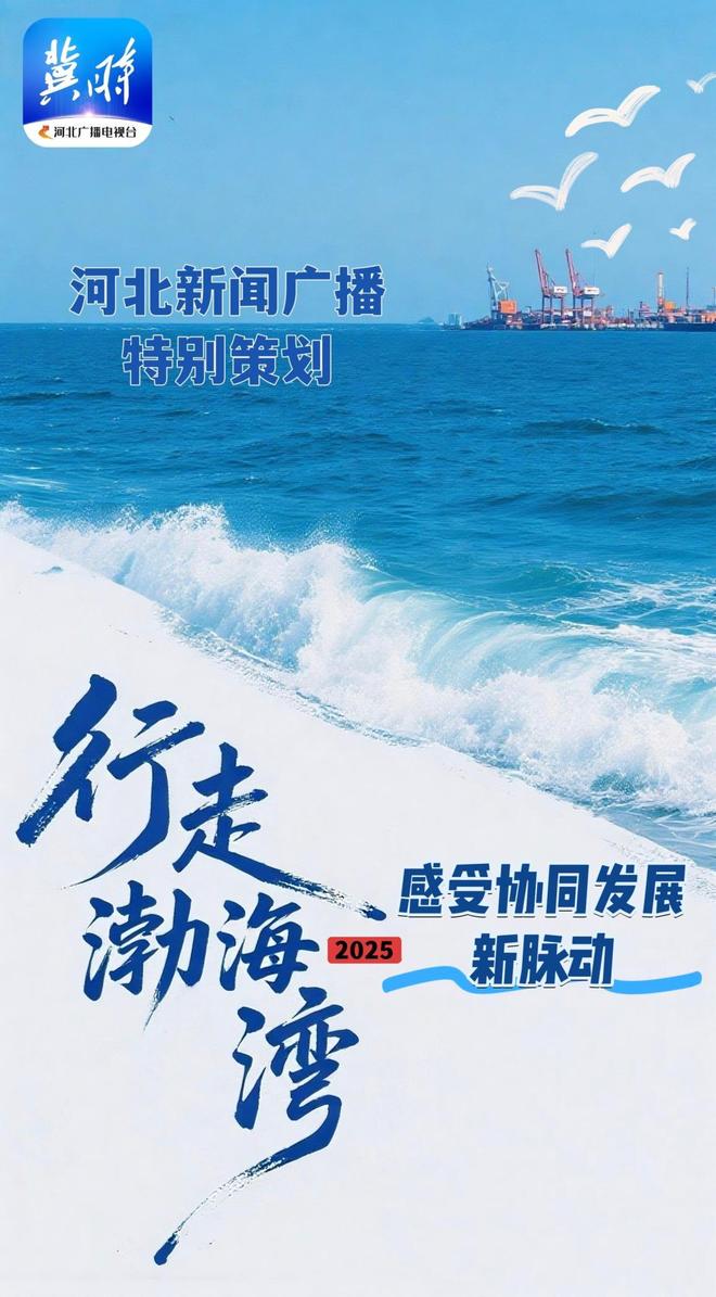 行走渤海湾｜南大港湿地：鸟儿的“幸福社区”