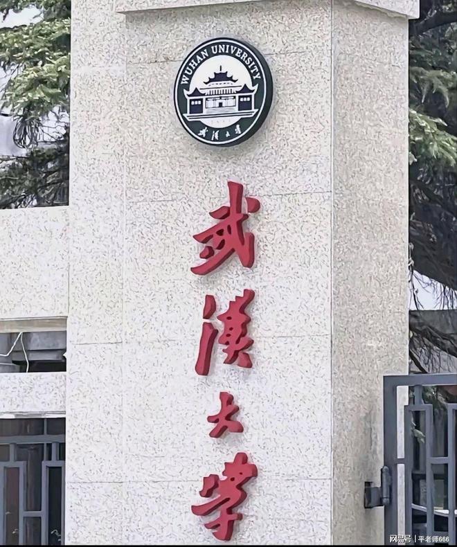 一句“滚出湖北”揭开了武大的遮羞布！是谁制造了这起事件