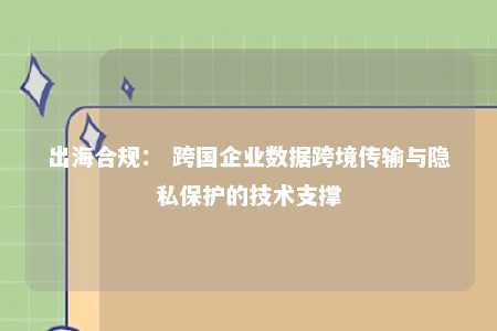 出海合规： 跨国企业数据跨境传输与隐私保护的技术支撑 